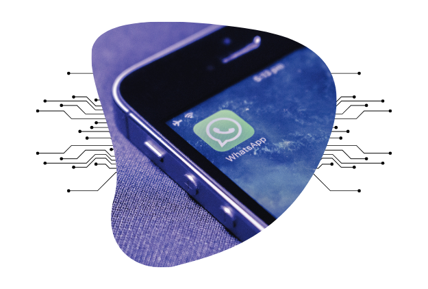 whatsapp business